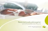 Neonatologie - GZA Ziekenhuizen · Organisatie Artsen Ouders kunnen dag en nacht telefonisch contact opnemen met de dienst: intensieve afdeling: 03 443 35 17; bedjesafdeling: 03 443