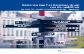 De verplaatsingsgewoonten in Brussel: diepteanalyses - irisnet.bedata-mobility.irisnet.be/resources/katern3.pdf · 2017. 7. 18. · 3 - De verplaatsingsgewoonten in Brussel: diepteanalyses