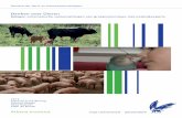 Denken over Dieren · 2020. 7. 29. · Na een korte inleiding over het onderzoeksproject Trendanalyse “Denken over Dieren” en de opzet van de middag, begon de bijeenkomst met
