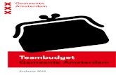 Teambudget - Wijkzorg Amsterdam · Teambudget Activeringsteams/WPI 14 Teambudget bij Wijkzorg 17 Conclusies & aanbevelingen 19 Bijlage 1: Spelregels 21 Bijlage 2: Aanvragen OKT 24