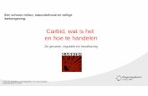 Carbid, wat is het en hoe te handelen · 2019. 10. 14. · Brandwondencentrum Groningen Door de invoering van de nieuwe vuurwerkwet in 2014 mag vuurwerk alleen worden afgestoken op