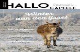Nr 2 december 2017 Jaargang 1 hallo in jouw omgeving Weet ... · Het HalloCapelle Magazine verschijnt 6 x per jaar en wordt huis-aan-huis verspreid in Capelle aan den IJssel in een