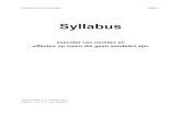 Syllabus - BVD advocaten · Syllabus bijzondere beslagen pagina 3 EXECUTIE VAN RECHTEN: Deze syllabus handelt over de executie van rechten in het algemeen, met uitzondering van het