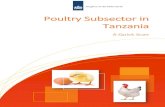 Poultry Subsector in Tanzania - Agroberichten Buitenland · Poultry Subsector in Tanzania: A Quick Scan Study commissioned by Embassy of the Kingdom of the Netherlands in Dar es Salaam,