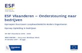 ESF Vlaanderen Ondersteuning naar bedrijven · 2019. 2. 14. · ESF Vlaanderen –Ondersteuning naar bedrijven Oproepen Duurzaam Loopbaanbeleid & Anders Organiseren Oproep Opleiding