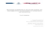 Homologie modellering en structurele analyse van ...lib.ugent.be/fulltxt/RUG01/002/061/465/RUG01... · Promotor : Prof. Dr. Lennart Martens Begeleider : Dr. Elien Vandermarliere Vakgroep