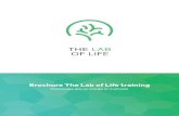 Brochure The Lab of Life training - Astrid Onijs · 3 KENMERKEN Wat maakt The Lab of Life methodiek zo bijzonder? Het gebruik van bewezen + gedragsveranderende technieken + VAN WILLEN