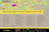 Mouse genome engineering 25 August – 06 September 2019 ... · PDF file 25 August – 06 September 2019 | Dresden, Germany SPEAKERS Virginijus Šikšnys Institute of Biotechnology