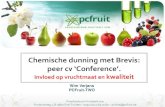 Chemische dunning met Brevis - kp.eufrin.eukp.eufrin.eu/fileadmin/user_upload/documents/37-fc... · Fruittuinweg 1, B-3800 Sint-Truiden – 0032 (0)11 69 70 80 – pcfruit@pcfruit.be