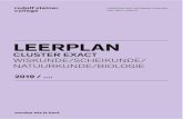 Leerplan Exact. Rudolf Steiner College . 2020. 1. 29.آ  Leerplan Exact. Rudolf Steiner College Rotterdam.