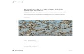 Bronanalyse zwemwater m.b.v. dna-techniekenpublicaties.minienm.nl/download-bijlage/23831/bron... · Bronanalyse zwemwater m.b.v. dna-technieken Bepalen bijdrage van vogels, mensen