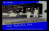 ANERS INETEN & RE MARKET SURVEY · 20 minuten een startup worden opgericht in Berlijn!). Deze zijn niet direct gelinkt aan een specifieke industrietak, aangezien Berlijn geen industriële