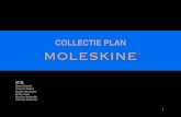 FINAL COLLECTIE PLAN€¦ · samenstelling van de Moleskine kleding collectie beschreven, waar nu een beperkte introductie op gegeven wordt. Als eerst zijn de ... COS, Collection