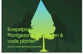 Koepelproject Plantgezondheid bomen & vaste planten · versterkers in vaste planten Koepelproject plantgezondheid 2015 en 2016 demo in de P9 potten teelt van vaste planten bij J.Linders
