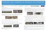 Protocol voor oogsten en schonen van Zeekraal · 2014. 1. 2. · Protocol voor oogsten en schonen van Zeekraal Greet Blom-zandstra & Willem de Visser Achtergrond In oktober en november