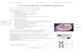 Samenvatting erfelijkheidsleer - Vlaamse Psychologische en ... · Les 1: Chromosomen en celdeling Weefsels hebben gelijke cellen en gelijke functies. Soorten weefsels: Epitheliaal