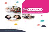 Haal alles uit Numo · De basis is het leerplan waarin de relevante vaardigheden klaarstaan voor de leerling. Binnen dit leerplan werken leerlingen aan een persoonlijk oefenplan (POP).