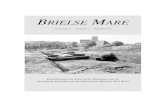 BRIELSE MARE Mare/Mare... · 2012. 8. 14. · Nieuwe leden die zich voor het einde van dit jaar aanmelden, krijgen een exemplaar van deze herdruk cadeau. Digitalisering oude jaargangen