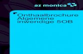 Onthaalbrochure Algemene inwendige 5OB - AZ Monicaazmonica.be/documents/140410-CA-afdelingsgebonden... · 2014. 4. 15. · ZK of VPK: opvolgen dat het leanteam bestelde medicatie