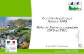Comité de pilotage Natura 2000 Baie de Seine occidentale ...reseau-manchemerdunord.n2000.fr/sites/baieseineoccidentale-caple… · - Arrêt drague CSJ à l’Ouest du méridien 1°07’14’’W