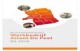 BESTUURSRAPPORTAGE Werkbedrijf Atlant De Peel en kaarten... · De afdeling Vescom en IGO-Post realiseren eveneens een hogere toegevoegde waarde, resp + € 15.000 en + € 13.000,
