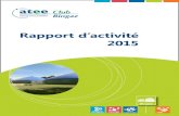 Rapport d’activité 2015 - ATEE€¦ · validé à l’occasion du CODIR du 20 octobre 2015. À titre préparatoire, le CODIR a demandé à GrDF de rassembler les gestionnaires
