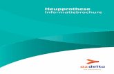 Heupprothese Informatiebrochure - AZ Delta · 2019. 1. 22. · 4 5 Heurotese, inforatiebrochure Heurotese, inforatiebrochure Beste patiënt Uw arts heeft u geadviseerd om uw heup