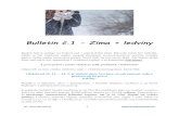 Bulletin č.1 - Zima + ledvinytian-de.eu/wp-content/uploads/2017/12/Bulletin-č.-1-Zima... · 2017. 12. 7. · Bc. Anna Bartošová 1 Bulletin č.1 - Zima + ledviny Hodně lidí si
