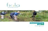 Fiola groeit · Fiola groeit verder 22 Mobiliteit en duurzaamheid 23 Cijfers 24 Bedankt! 27 Inhoud. 3 2019 Jaar van de groei Groei heeft een positieve weerklank. Een kind dat groeit