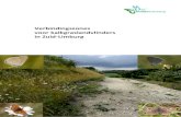 Verbindingszones voor kalkgraslandvlinders in Zuid …...De Vlinderstichting 2020 / Verbindingszones voor kalkgraslandvlinders 5 1. Inleiding De kalkgraslanden in Zuid-Limburg vormen