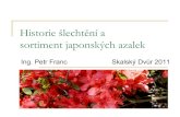 Historie šlechtění a sortiment japonských azaleksvaz-skolkaru.cz/wp-content/uploads/2011-historie... · 2.1 Šlechtění a sortiment - Belgie V letech 1901-1911 dovezeny japonské