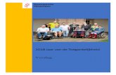 2018 Jaar van de Toegankelijkheid Verslag · 2019. 6. 14. · 4 1. Inleiding Haarlem riep 2018 uit tot het Jaar van de Toegankelijkheid. Aanleiding hiervoor was een viertal moties