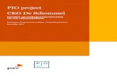 PIO project CKG De Schommel · Dit bestaat uit een team van 3 mensen ... Facebook zien wij wel een aantal groepen opduiken waar ouders vragen kunnen stellen aan elkaar over de opvoeding
