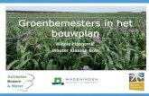 Groenbemesters in het bouwplan - Actieplan Bodem & Water · 2019. 2. 25. · Groenbemesters: een goede keuze! Groenbemesters in het bouwplan Wiepie Haagsma, Leendert Molendijk Kennisdag
