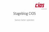Stageblog CIOS - Welkom op de website van saMBO-ICT...De opdracht heeft als doel te leren bloggen en de beginsituatie vast te leggen. Klaar voor de start. Vermeld onderstaande info