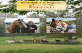 Mansolein’s E-Magazinemansolein.free.fr/mansolein/e-magazines/E-Magazine_30... · 2017. 7. 17. · op dat de fokkers steeds meer in staat zijn om op voorhand de trends te ontdekken