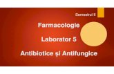 Farmacologie Laborator 5 Antibiotice și Antifungice · 2020. 5. 15. · Farmacologie Laborator 5 Antibiotice și Antifungice. 1. Clasificare 2. Farmacognozie 3. Laborator 4. Tehnici
