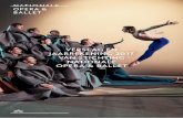 VERSLAG EN JAARREKENING 2017 VAN STICHTING NATIONALE … · 2018. 4. 4. · 2017 is een bijzonder jaar voor Nationale Opera & Ballet. ... Eggert) en Fortress Europe (Calliope Tsoupaki).