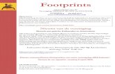 Footprints - Tribale Kunst en Cultuur...Footprints nieuwsbrief van de Vereniging TRIBALE KUNST en CULTUUR Beste lezers, Op 24 mei hoop ik velen van u te ontmoeten bij Gallerie Italiaander
