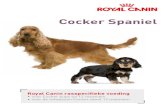 Cocker Spaniel · 2014. 12. 4. · De Cocker Spaniel heeft een L-vormig gehoorkanaal met van nature veel oorsmeer. Zijn lange hangoren, met veel haar, verhinderen een goede luchtdoorstroming