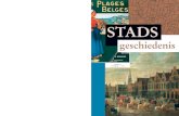 Friese of Duitse stad? Een verkennend onderzoek …jvdn.nl/Downloads/Stedengeschiedenis/2009-SG1.pdf5 C. Lesger, ‘Variaties in de herkomstpatronen van nieuwe burgers in Nederlandse