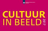 CULTUUR IN BEELD - Rijksoverheid.nl · Spreiding van cultuur Cultuur wordt in diverse vormen aangeboden en beleefd en is te zien op plekken door het hele land. De volgende kaartjes