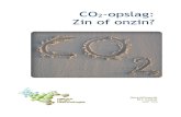 CO2-opslag: Zin of onzin? · 2020. 3. 26. · NLT3-v118 CO 2-opslag: Zin of onzin? Colofon De module CO 2-opslag: zin of onzin? is bestemd voor de lessen Natuur, Leven en Technologie