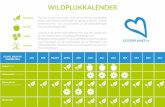 GoodPlanet Belgium - Wildplukkalender · 2018. 10. 23. · PLANT, BOOM OF PADDESTOEL JAN FEB MAART APRIL MEI JUNI JULI AUG SEP OKT NOV DEC Bosaardbei witte bloem (thee/sla Sieraardbei