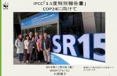 IPCC 1.5 度特別報告書」 - WWFジャパン2018/11/02  · 1 IPCC「1.5度特別報告書」 COP24に向けて 2018年11月2日（金） WWFジャパン 年 小西雅子 韓国仁川第48回IPCC総会にて