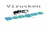 brjvantriet.weebly.com · Web viewAlle groepjes krijgen een blad met een plaatje en de opdracht om alle dingen die met dengue te maken hebben te zoeken.-bladen met daarop de opdracht