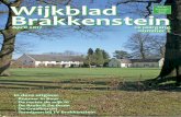Wijkblad - MijnBrakkenstein.nl · 2017. 4. 20. · de wijkmanager en de directeur van de basisschool. Waarom dit bezoek aan ”BUUR”? Lijsttrekkers van politieke partijen krijgen