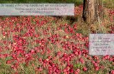 De appels vallen nog steeds niet ver van de boom….....ORD 2019, Heerlen Marijke van Vijfeijken Eddie Denessen Tamara van Schilt-Mol Ron Scholte De appels vallen nog steeds niet ver