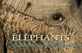 002 102 IFAW brochure elephants Layout 1 · 2019. 2. 6. · Convention sur le commerce international des espèces de faune et de flore sauvages menacées d'extinction (CITES) à inscrire