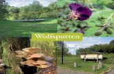 Wolfsputten - Toerisme Dilbeektoerismedilbeek.be/.../2014/11/Infobrochure-Wolfsputten.pdf · 2014. 11. 18. · Brochure Wolfsputten_Opmaak 3/09/14 08:53 Pagina 6. Kleurige seizoenen